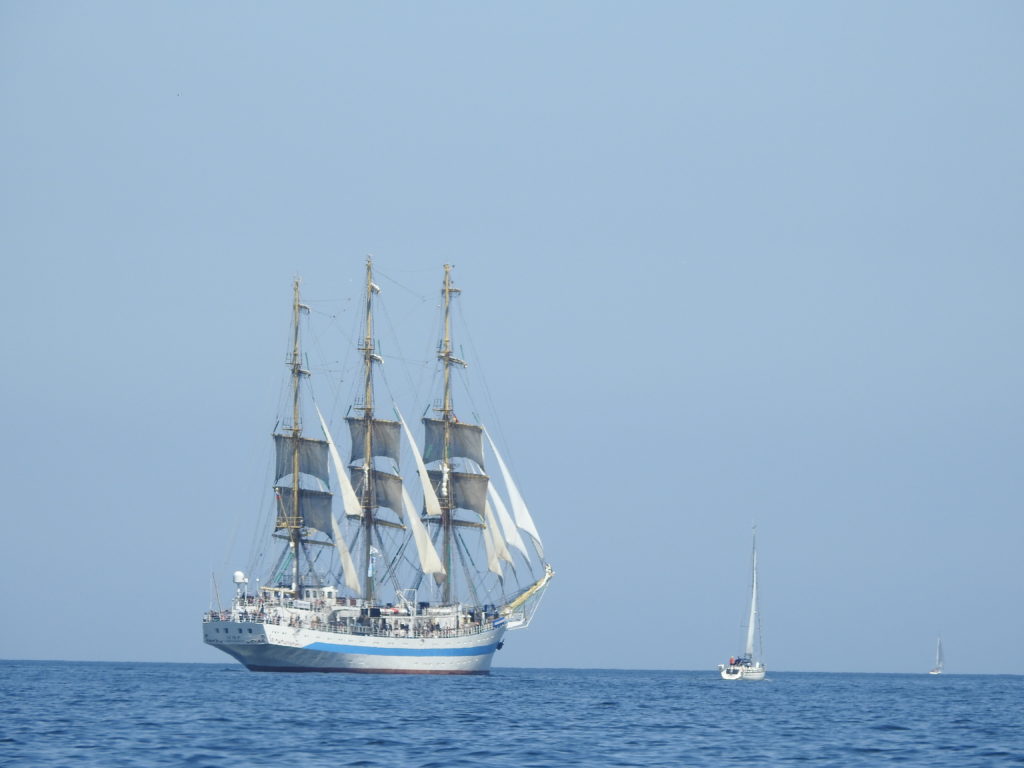 the Mir